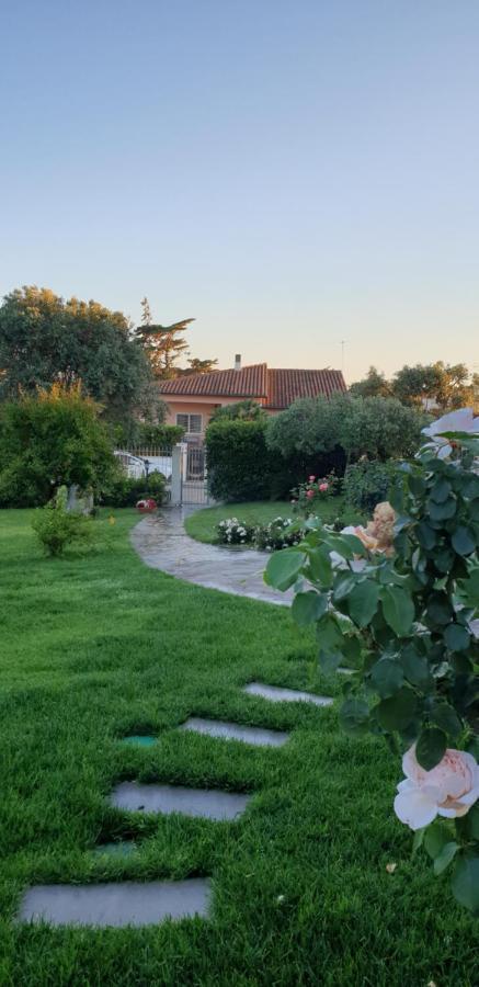 Villa Luce B&B Olbia Dış mekan fotoğraf